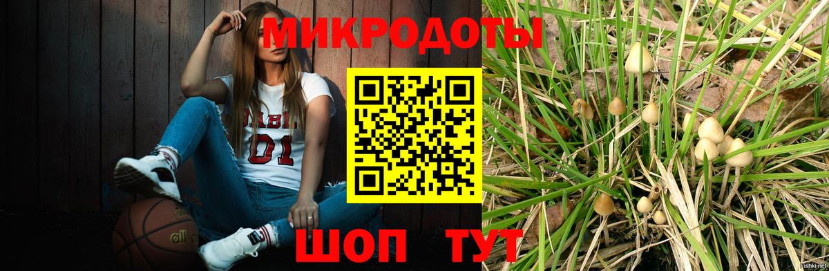 Псилоцибиновые грибы мицелий Павлово